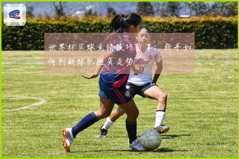 世界杯买球竞猜技巧分享：新手如何判断球队胜负走势