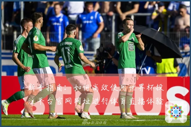新手指南:如何高效使用世界杯投注平台官网网址进行体育直播体验