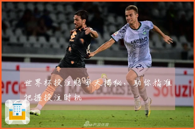 世界杯投注赔率大揭秘，助你精准把握投注时机