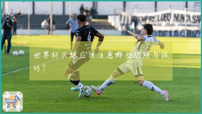世界杯买球应该注意哪些陷阱与技巧？