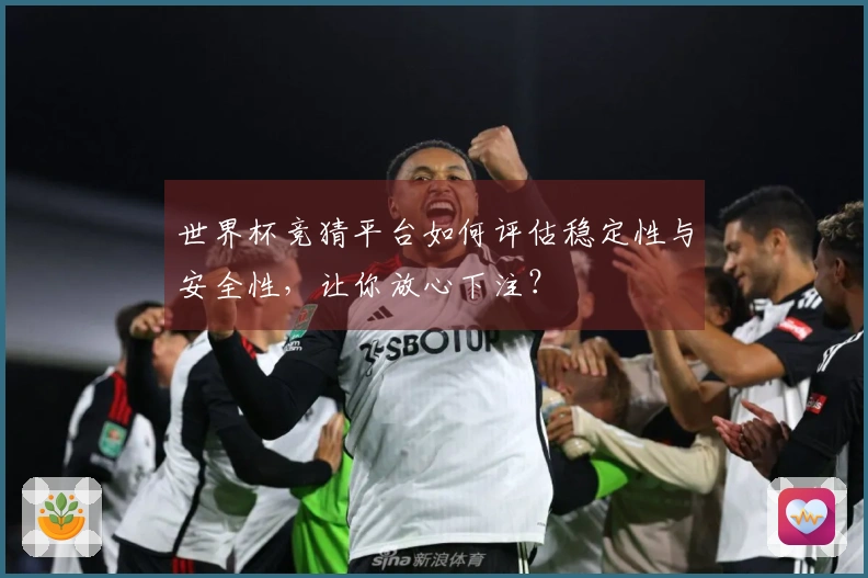 世界杯竞猜平台如何评估稳定性与安全性，让你放心下注？