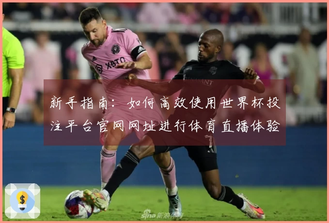 新手指南：如何高效使用世界杯投注平台官网网址进行体育直播体验