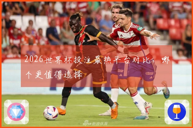 2026世界杯投注最热平台对比，哪个更值得选择