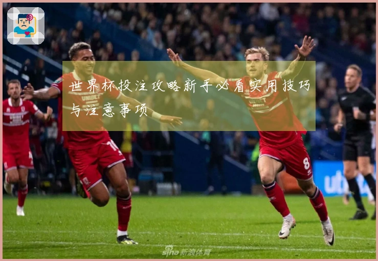世界杯投注攻略新手必看实用技巧与注意事项
