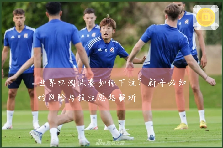 世界杯淘汰赛如何下注？新手必知的风险与投注思路解析