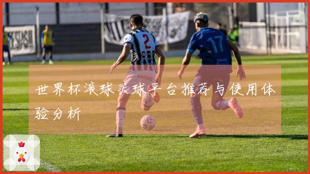 世界杯滚球买球平台推荐与使用体验分析