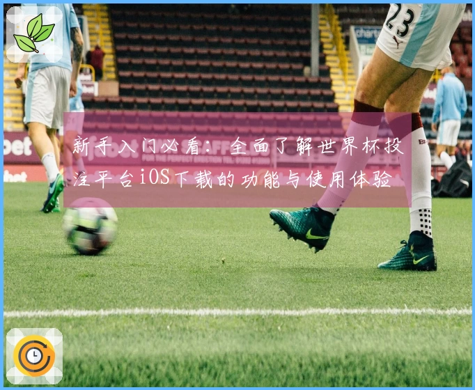 新手入门必看：全面了解世界杯投注平台iOS下载的功能与使用体验