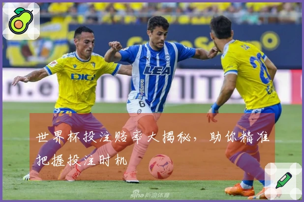 世界杯投注赔率大揭秘，助你精准把握投注时机