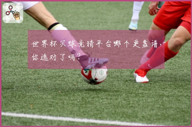 世界杯买球竞猜平台哪个更靠谱，你选对了吗？