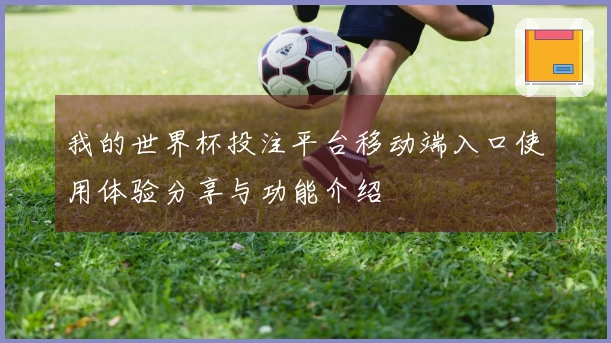 我的世界杯投注平台移动端入口使用体验分享与功能介绍