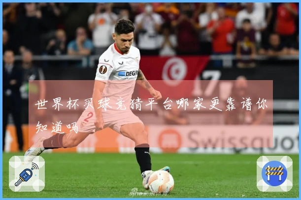 世界杯买球竞猜平台哪家更靠谱你知道吗