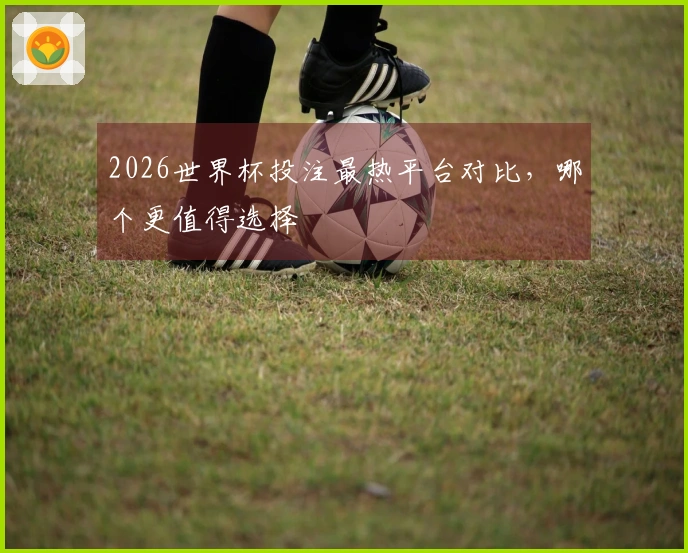 2026世界杯投注最热平台对比，哪个更值得选择