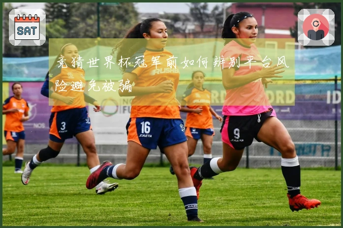 竞猜世界杯冠军前如何辨别平台风险避免被骗
