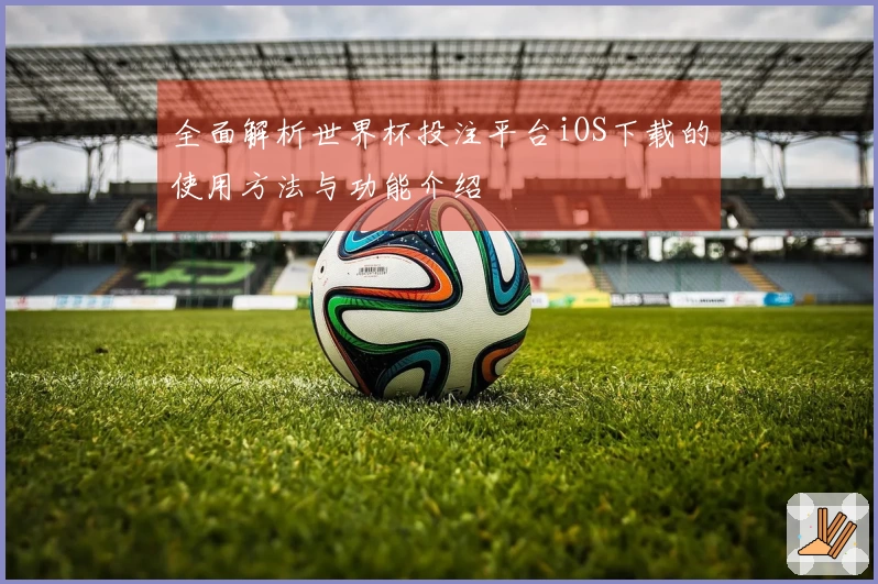 全面解析世界杯投注平台iOS下载的使用方法与功能介绍