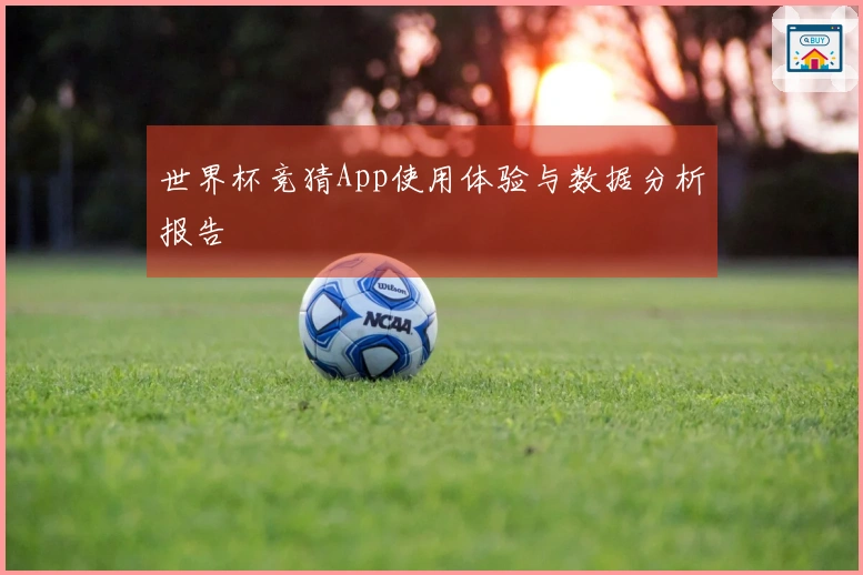 世界杯竞猜App使用体验与数据分析报告