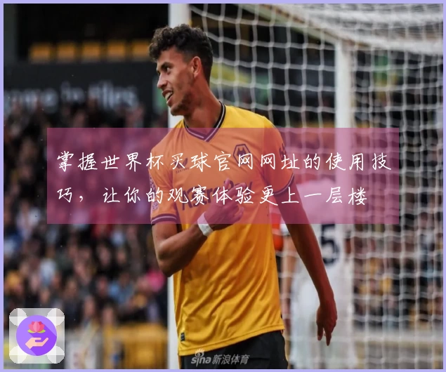 掌握世界杯买球官网网址的使用技巧,让你的观赛体验更上一层楼